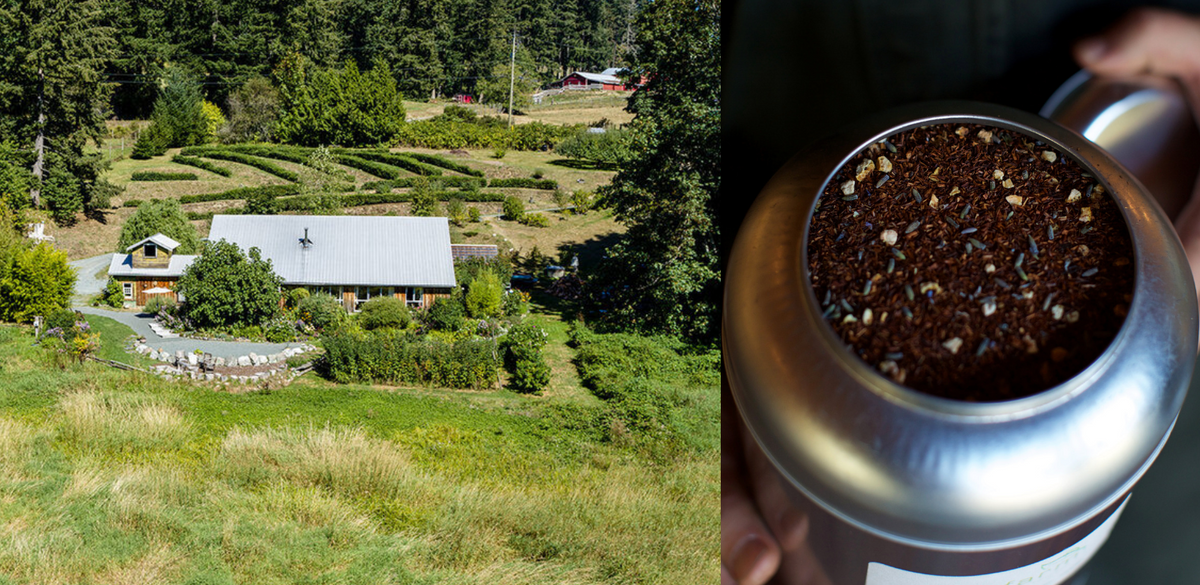 Job Posting Production Associate Westholme Tea Company