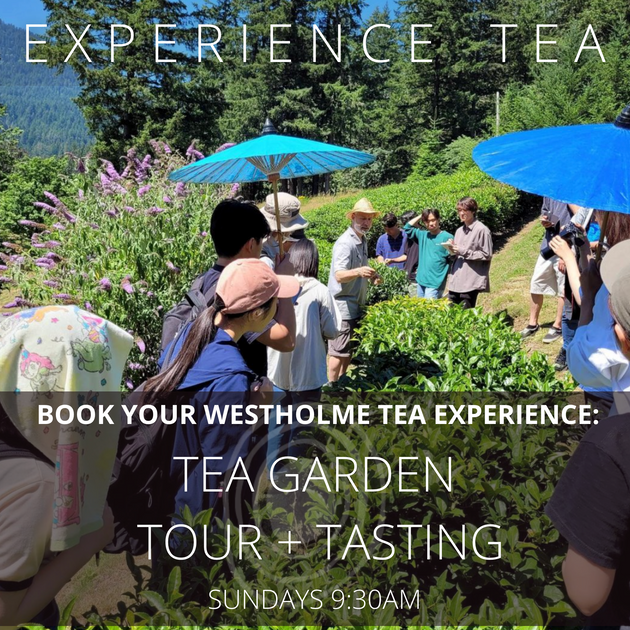 Savings on Tea Tours + Tastings EXTENDED to end of May Westholme Tea
