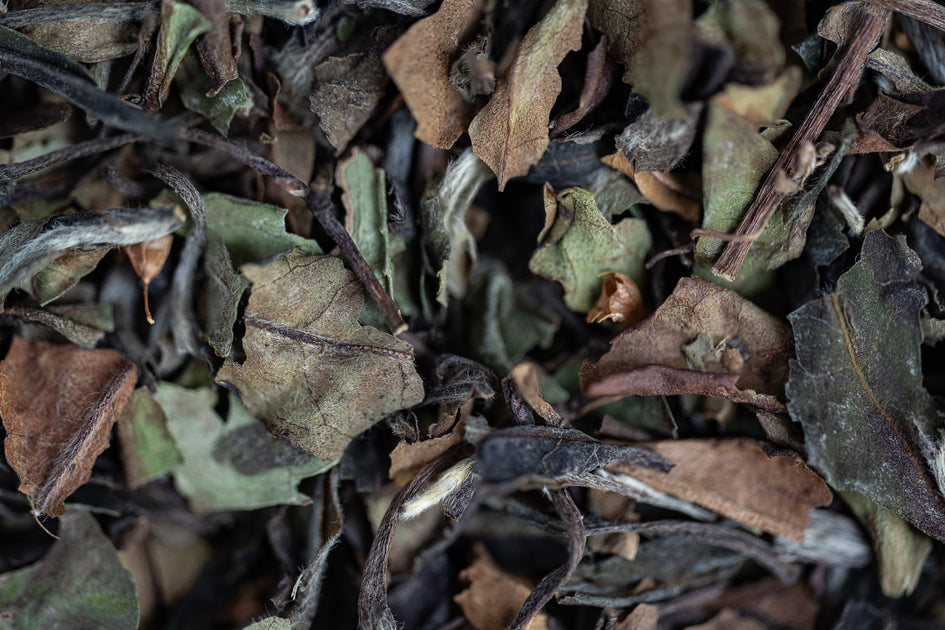 White Tulsi