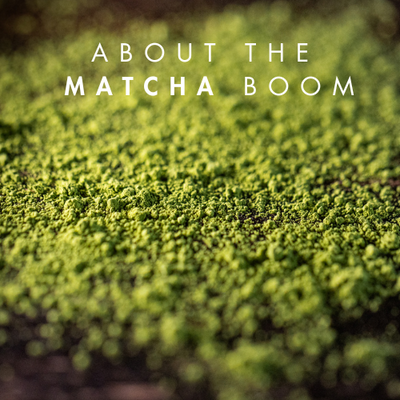 About the Matcha Boom