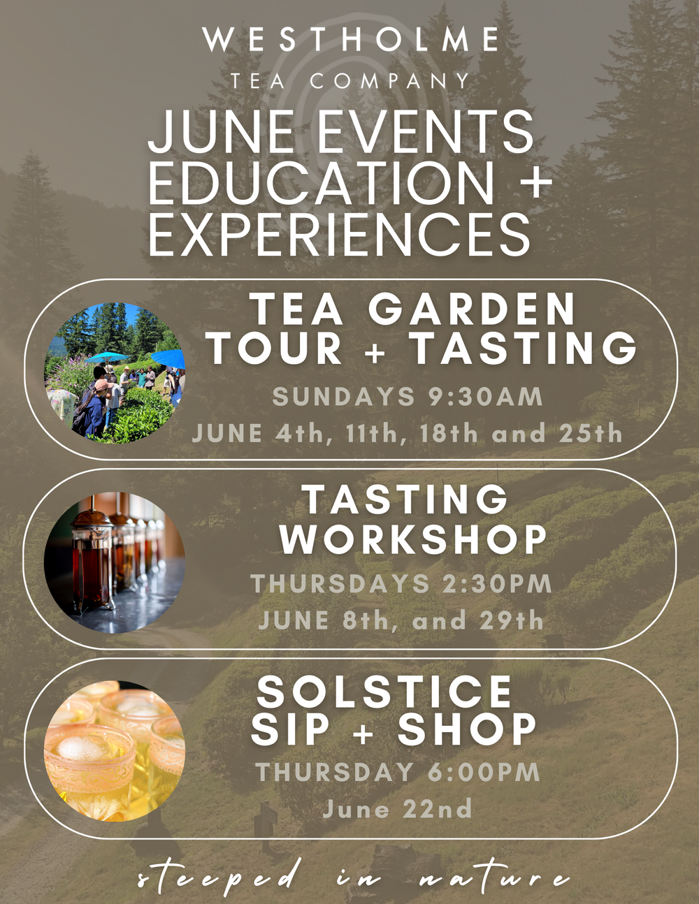 June Calendar Of Events At Westholme Westholme Tea Company june-calendar-of-events-at-westholme-westholme-tea-company