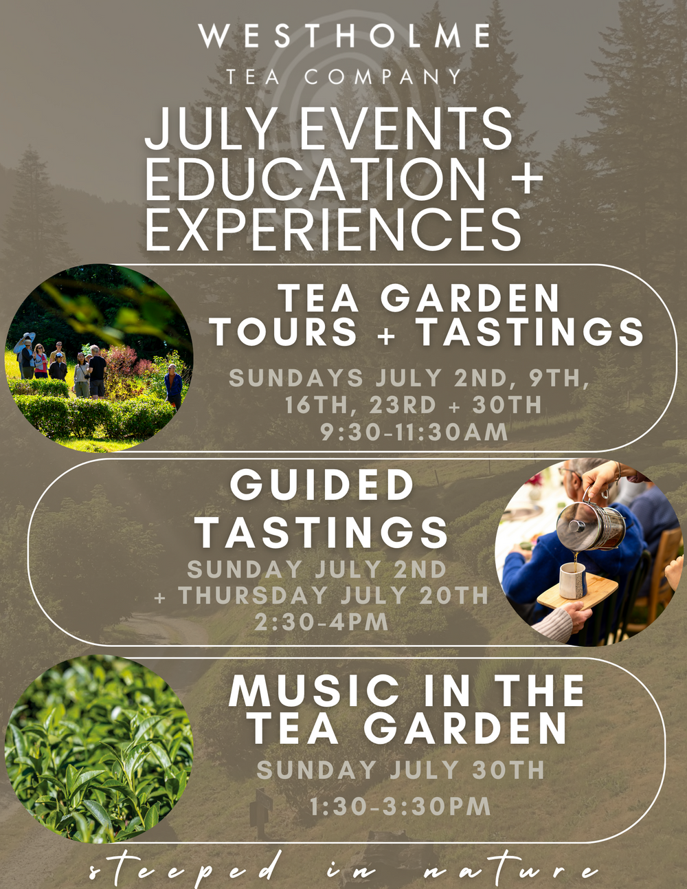 July Calendar Of Events Westholme Tea Company july-calendar-of-events-westholme-tea-company