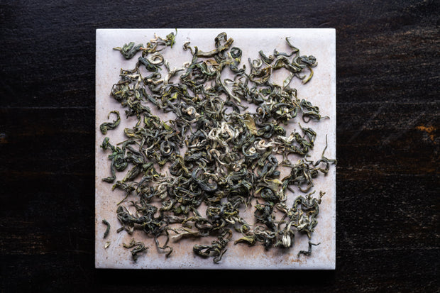 Bi Luo Chun - Limited Harvest