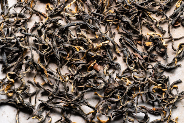 Black No. 6  - Jīn Jun Mei (Golden Eyebrow) - Limited Harvest