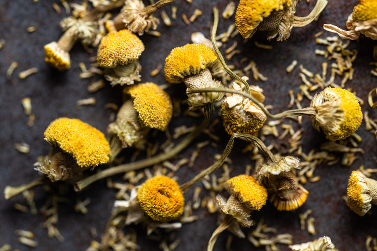 Chamomile