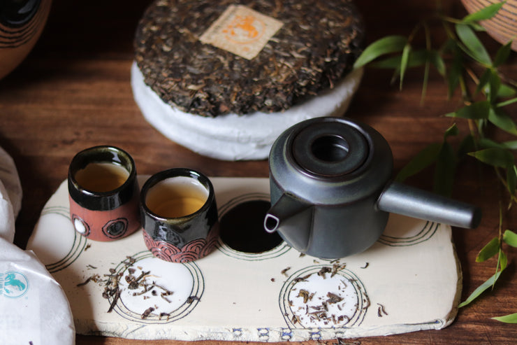KINTO - Leaves to Tea Side Handle Ceramic Teapot 300ml