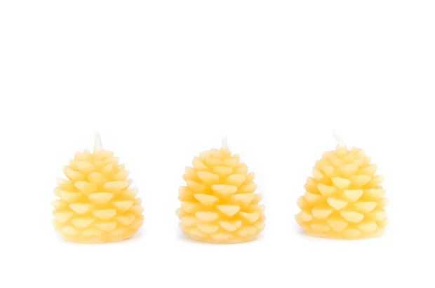 Cone Candles {Fir and Pine}